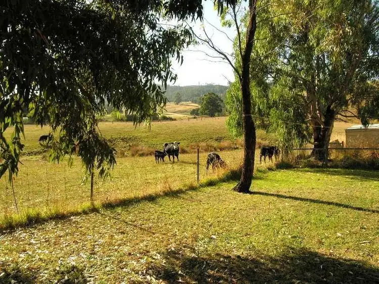 Third view of Homely house listing, 271 Arve Road, Geeveston TAS 7116