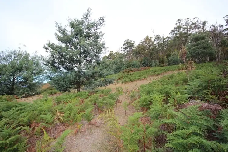 Fourth view of Homely land listing, Lot 16 Waggs Gully Road, Ranelagh TAS 7109