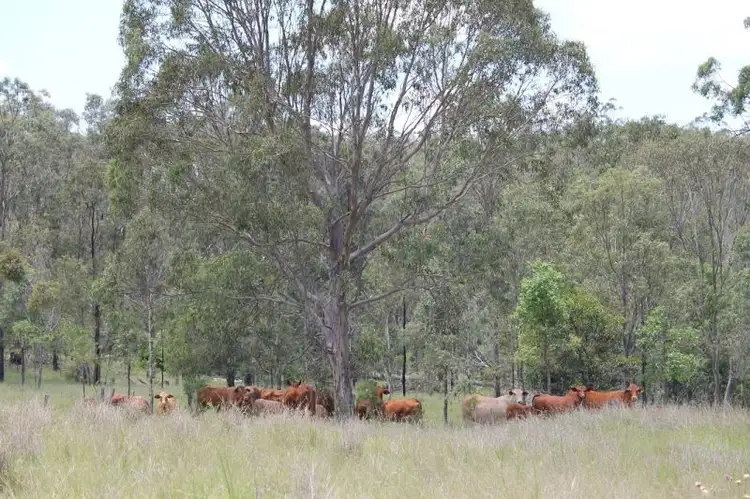 Second view of Homely land listing, 63 FAUGHNANS ROAD, Booie QLD 4610