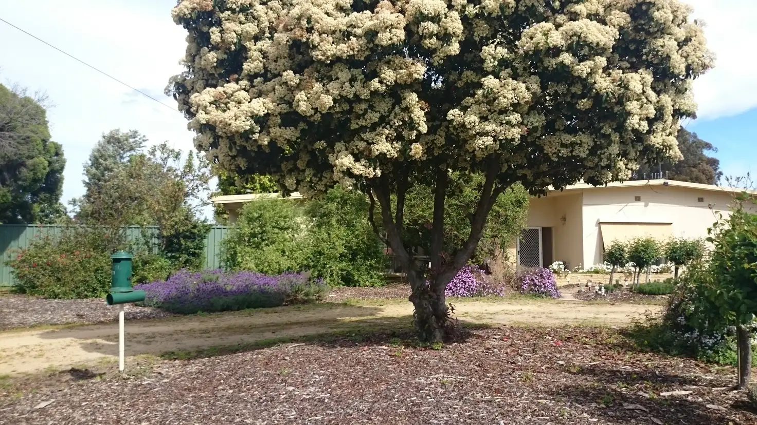 Main view of Homely house listing, 27 Raftery Road Kialla, Kialla VIC 3631