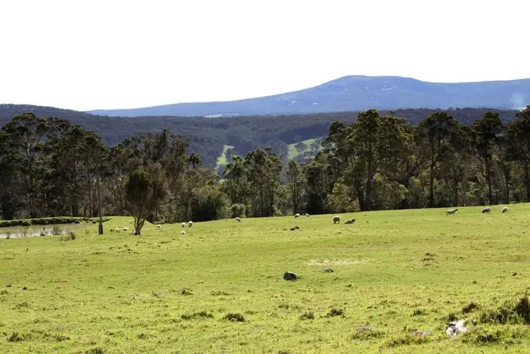 Sixth view of Homely rural property listing, 586 Mount Shadforth Road, Denmark WA 6333