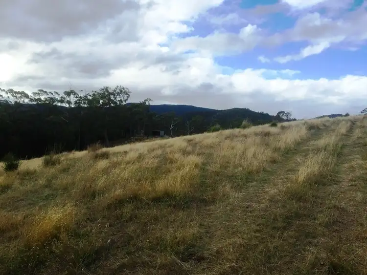 Fourth view of Homely land listing, 67 acres off Abbots Rd, Nicholls Rivulet TAS 7112