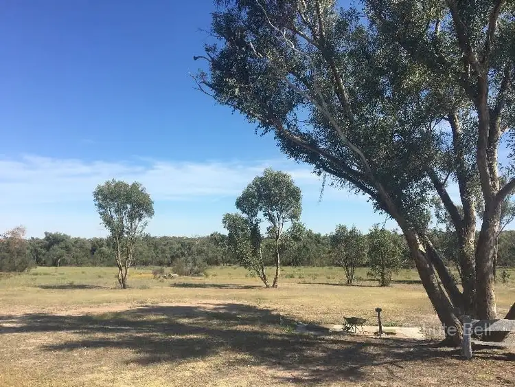Sixth view of Homely rural property listing, 355 Momo Rd, Tomingley NSW 2869