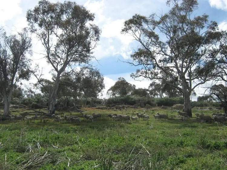 Third view of Homely land listing, 105 Bobeyan Road, Shannons Flat NSW 2630
