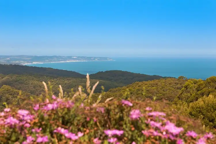 Fourth view of Homely house listing, 5835 Great Ocean Road (Yuulong), Apollo Bay VIC 3233