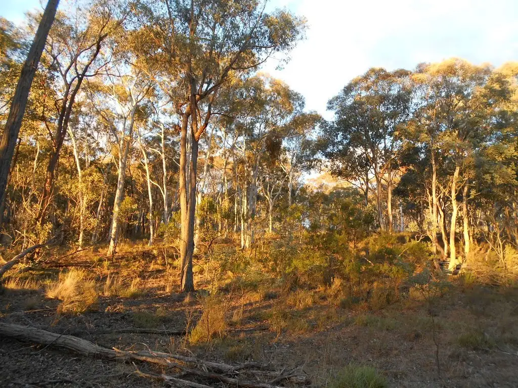 Main view of Homely land listing, Lot 245 Lade Vale Road, Gunning NSW 2581