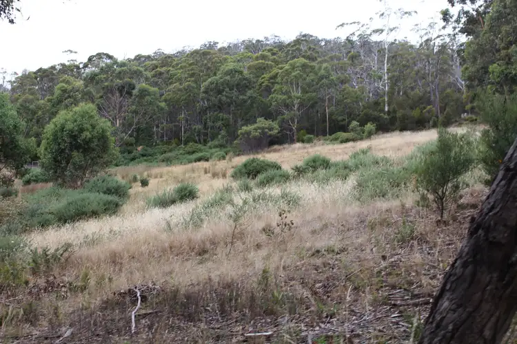 Fourth view of Homely land listing, Lot 1 Cygnet Coast Road, Wattle Grove TAS 7109
