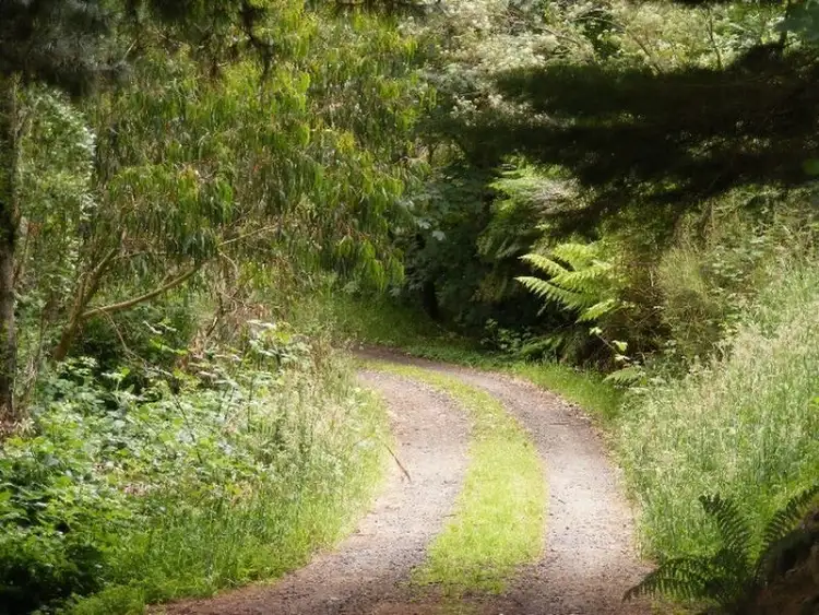 Seventh view of Homely rural property listing, 140 Biddles Road, Apollo Bay VIC 3233
