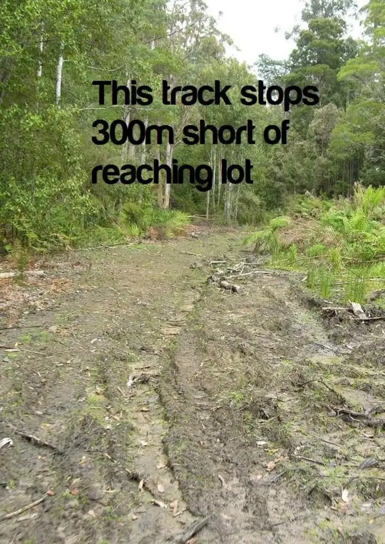 Seventh view of Homely land listing, Lot 1 Nicholls Rivulet Road, Nicholls Rivulet TAS 7112