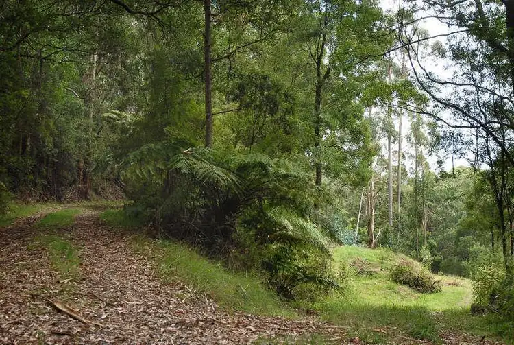 Third view of Homely land listing, 80 Old Hordernvale Access Road, Apollo Bay VIC 3233