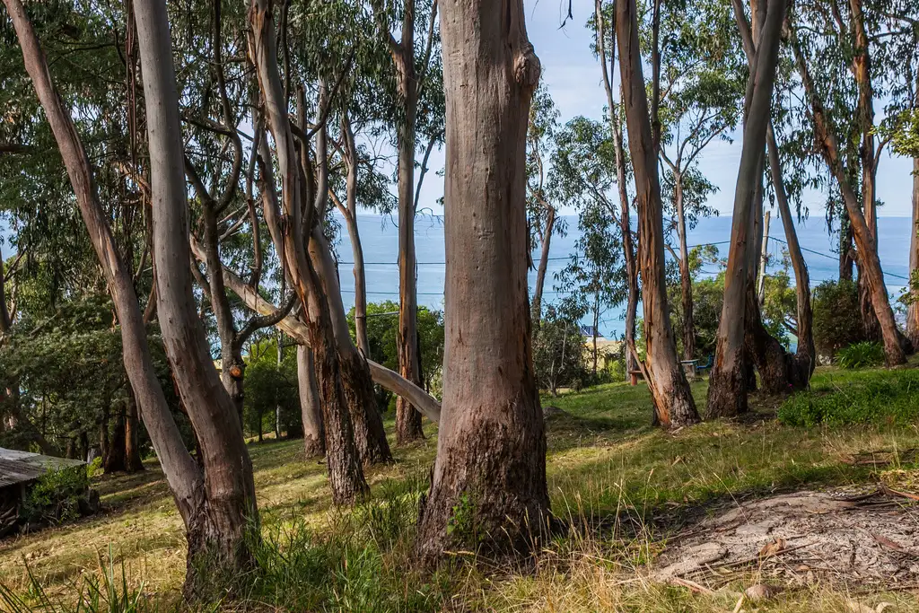 Main view of Homely land listing, 10 Cassidy Drive, Kennett River VIC 3221