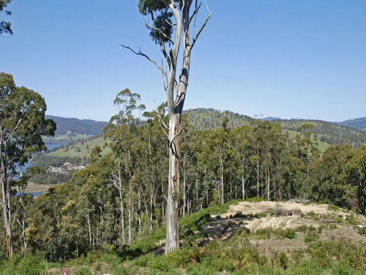 Second view of Homely land listing, Lot 3 Doodys Hill Road, Port Huon TAS 7116