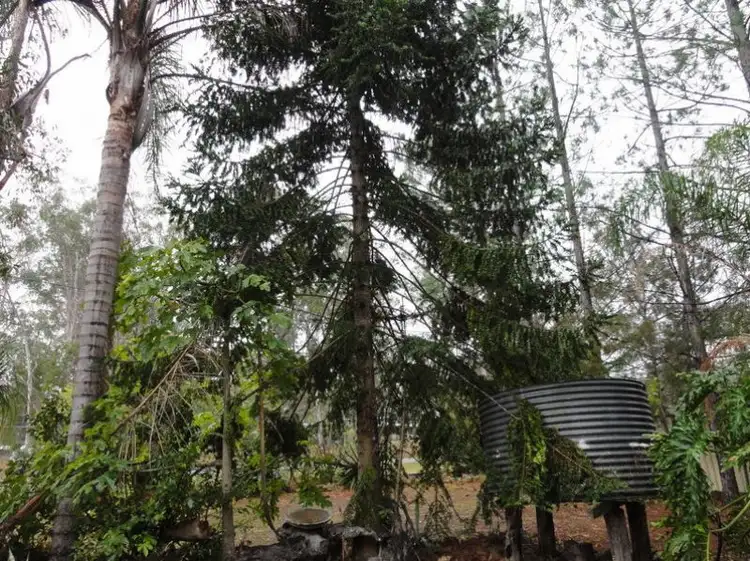 Sixth view of Homely house listing, 78 Archer Ct, Chambers Flat QLD 4133