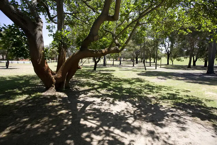Second view of Homely house listing, 19 North Street, Mount Lawley WA 6050