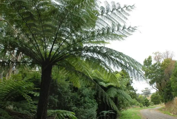 Second view of Homely land listing, 80 Old Hordernvale Access Road, Apollo Bay VIC 3233