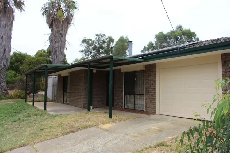 12 Baloo Place, Koongamia WA 6056