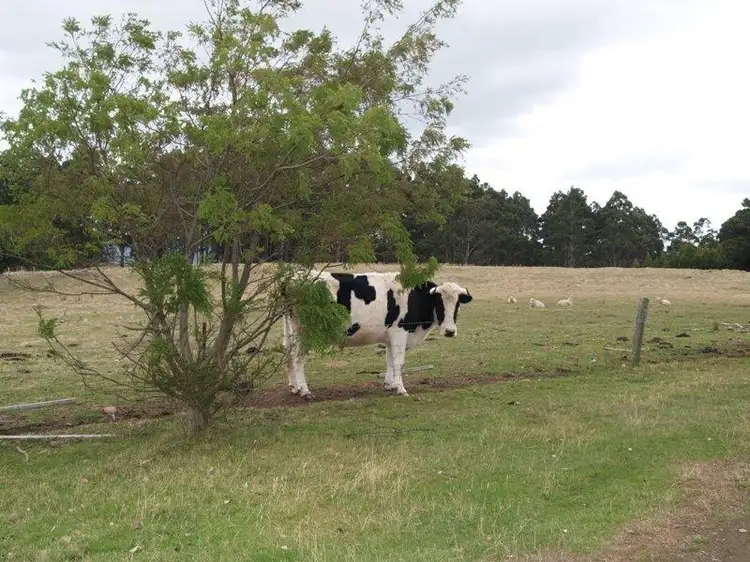 Fourth view of Homely house listing, 256 Lightwood Road, Glen Huon TAS 7109