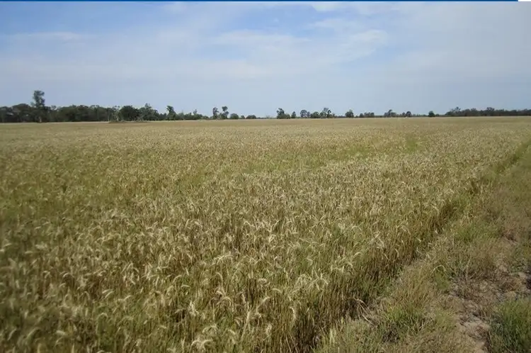 Main view of Homely rural property listing, Address available on request