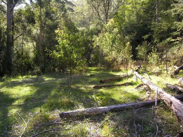 Sixth view of Homely land listing, Pelverata Road, Pelverata TAS 7150