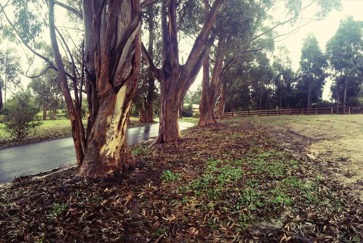 Main view of Homely land listing, 5 Oaks Court, Lysterfield South VIC 3156