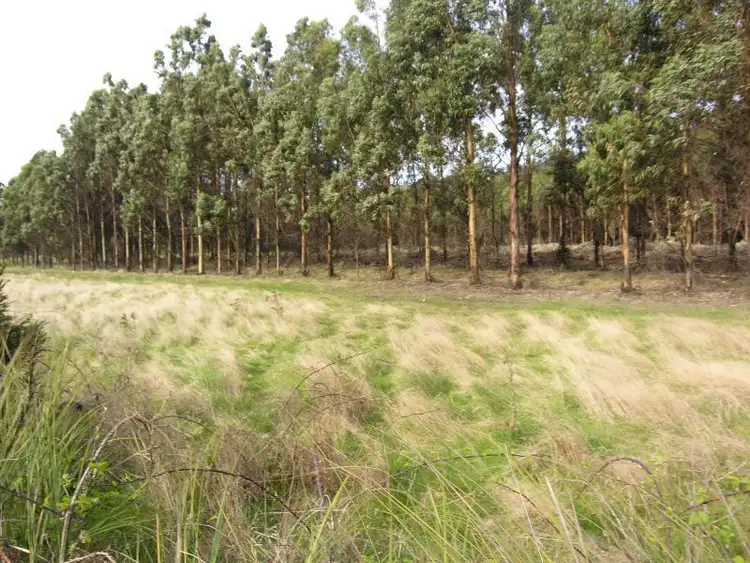 Sixth view of Homely land listing, Lot 3 Lonnavale Road, Lonnavale TAS 7109