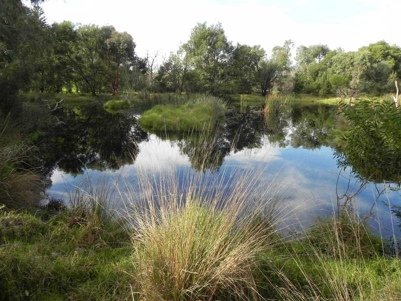 Main view of Homely rural property listing, Address available on request