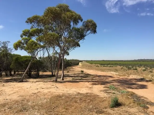 Second view of Homely rural property listing, Lot 225 DP86764, Lot 229/DP 86765 Bowman Rd, Koorda WA 6475