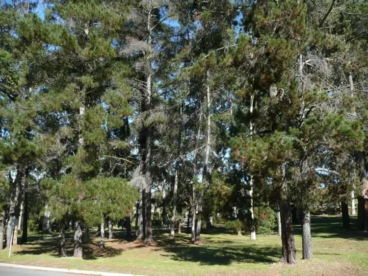 Third view of Homely land listing, 18A Horsley Road, Denmark WA 6333