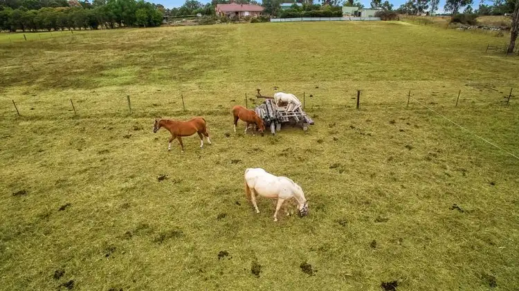 Sixth view of Homely rural property listing, 343 Second Avenue, Llandilo NSW 2747