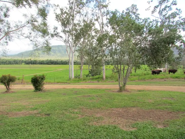 Fifth view of Homely rural property listing, 5204 Abergowrie Rd, Abergowrie QLD 4850