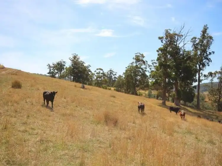 Seventh view of Homely land listing, Lot 1 Wallace Road, Cygnet TAS 7112