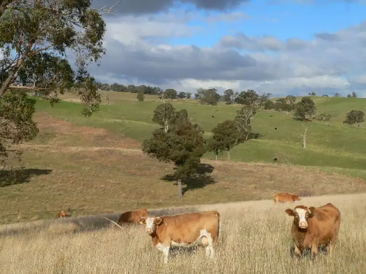 Main view of Homely rural property listing, Four Mile Creek Road, Orange NSW 2800