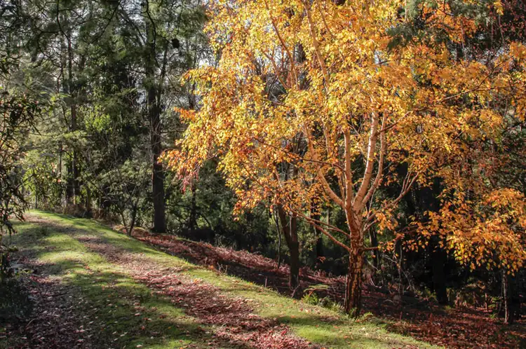 Seventh view of Homely land listing, 5 Redruth Court, Spreyton TAS 7310