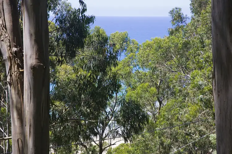 Main view of Homely land listing, 29 Karingal Drive, Wye River VIC 3221