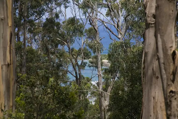 Main view of Homely land listing, 32 Karingal Drive, Wye River VIC 3221