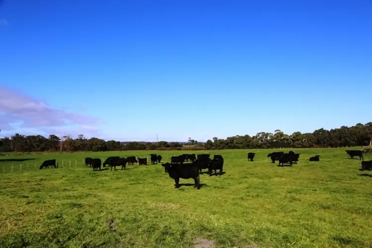 Fifth view of Homely rural property listing, 146 Stuarts Road, Montagu TAS 7330