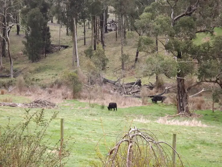 Third view of Homely rural property listing, 106 Thalloo Road, Tanjil South VIC 3825