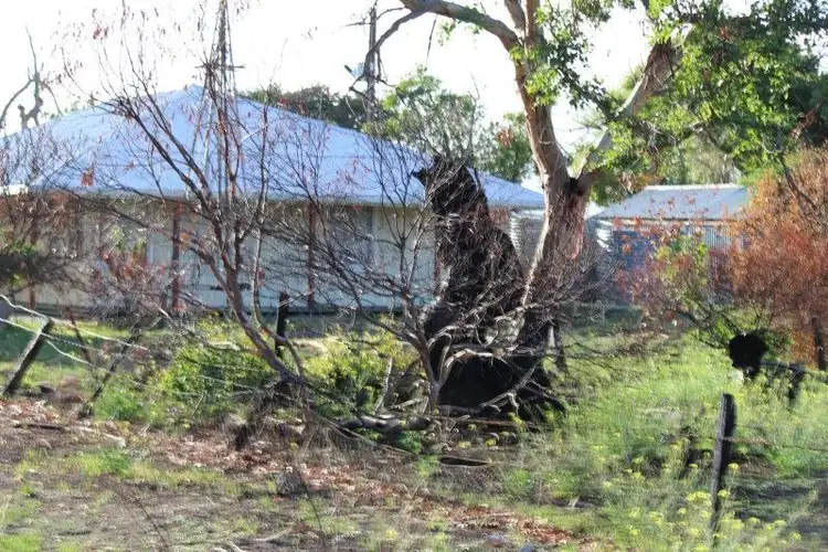 Seventh view of Homely rural property listing, 14 Gap Road Warrow, Coulta SA 5607