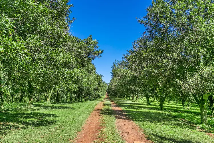 Third view of Homely house listing, 640 Dorroughby Road, Dorroughby NSW 2480