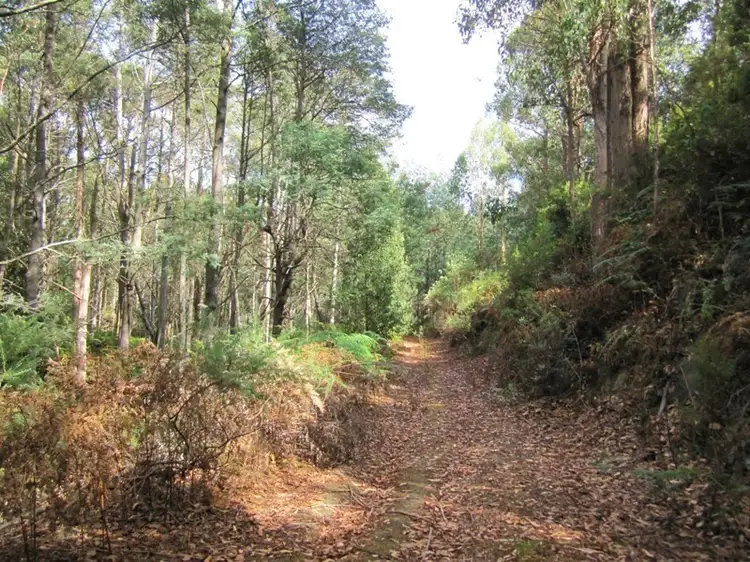 Third view of Homely land listing, Lot 2 Off Pelverata Road, Pelverata TAS 7150