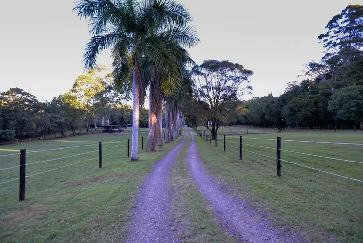 Sixth view of Homely rural property listing, 30 Bamboo Road, Palmwoods QLD 4555