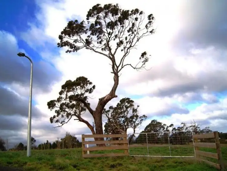 Lot 9 Kilbennen Court, Kilmore VIC 3764