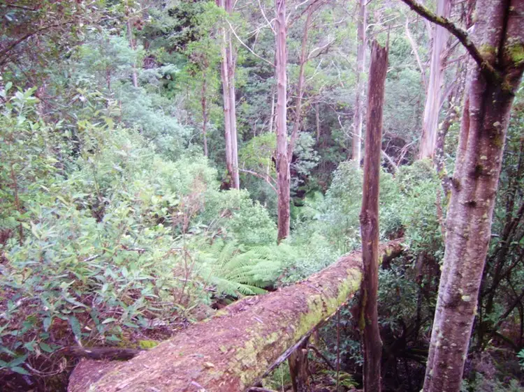 Fourth view of Homely land listing, Lot 1 Waggs Gully Road, Ranelagh TAS 7109