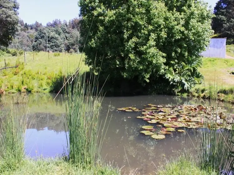Main view of Homely land listing, Swamp Road, Franklin TAS 7113