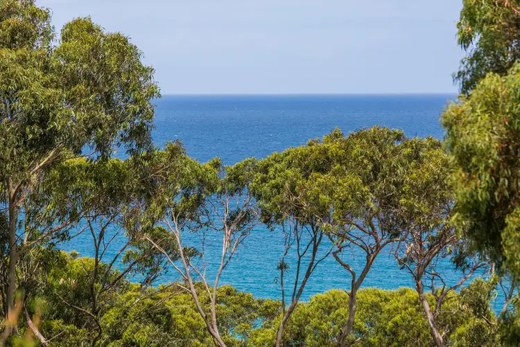 Third view of Homely house listing, 17 Allen Street, Lorne VIC 3232