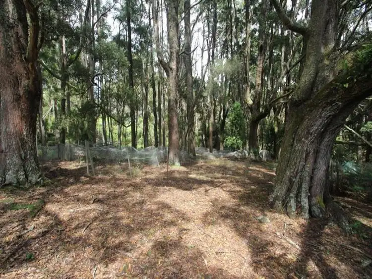 Sixth view of Homely land listing, Tierneys Road, Mengha TAS 7330