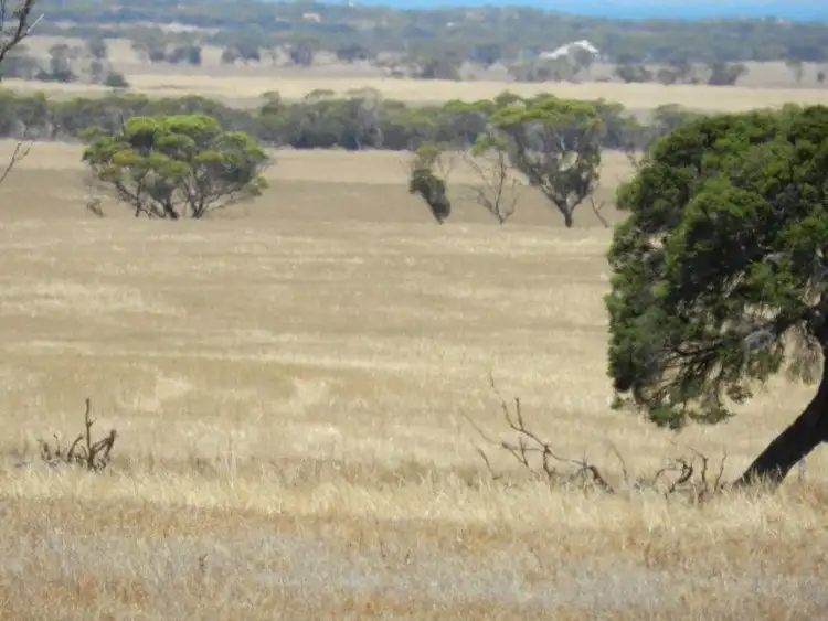 Seventh view of Homely rural property listing, Haslam Dog Fence Rd Haslam, Streaky Bay SA 5680