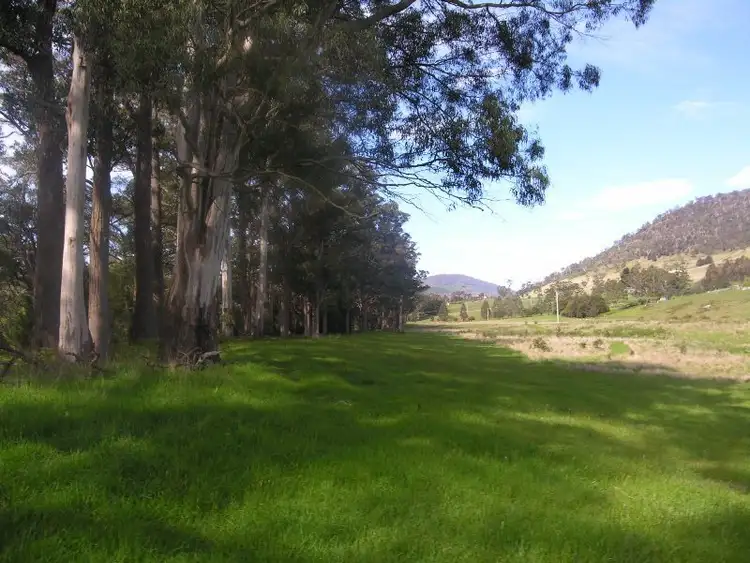 Sixth view of Homely house listing, 356 She Oak Road, Judbury TAS 7109