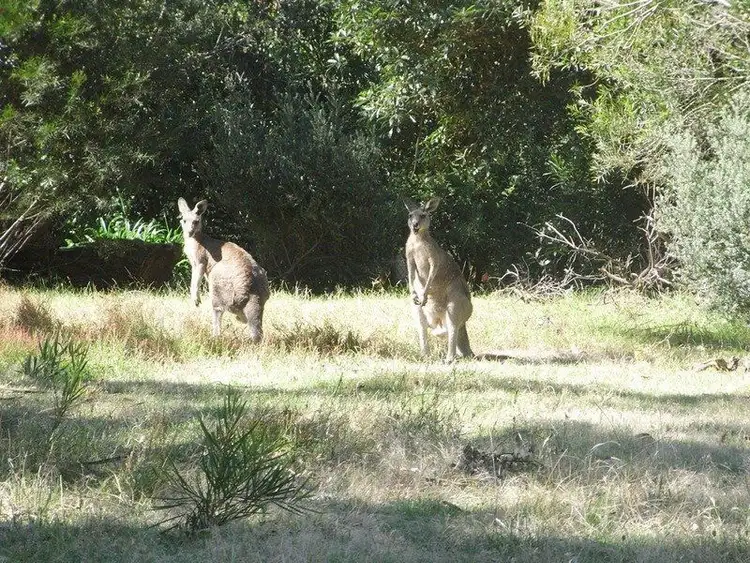 Fifth view of Homely land listing, Lot 2, LOT Lot 2, 5 Foster Street, Anglesea VIC 3230