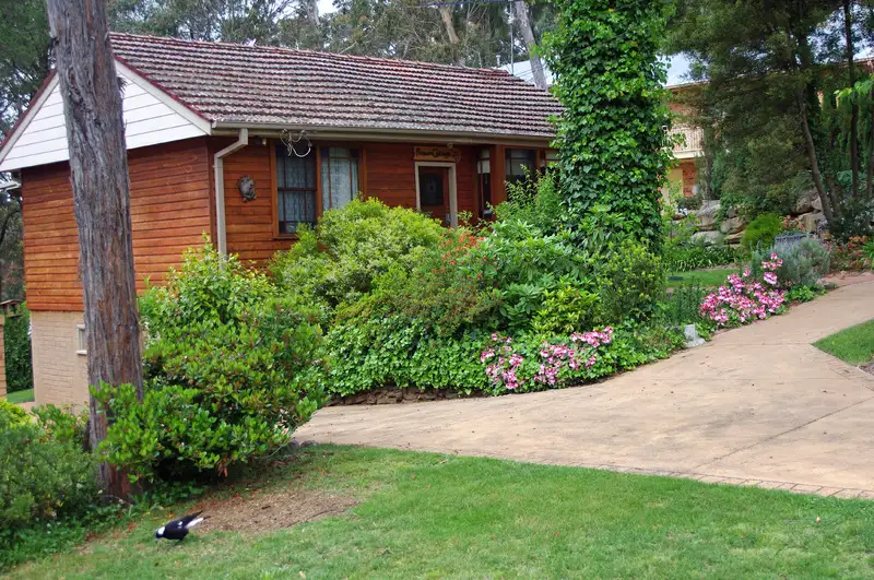 Main view of Homely house listing, 31 Seventh Ave, Katoomba NSW 2780